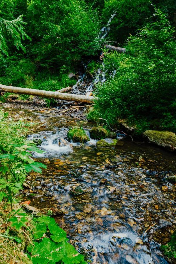Apartman U Vlka - Hubertus, Karlova Studánka Dış mekan fotoğraf