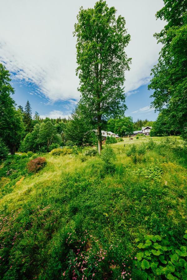 Apartman U Vlka - Hubertus, Karlova Studánka Dış mekan fotoğraf